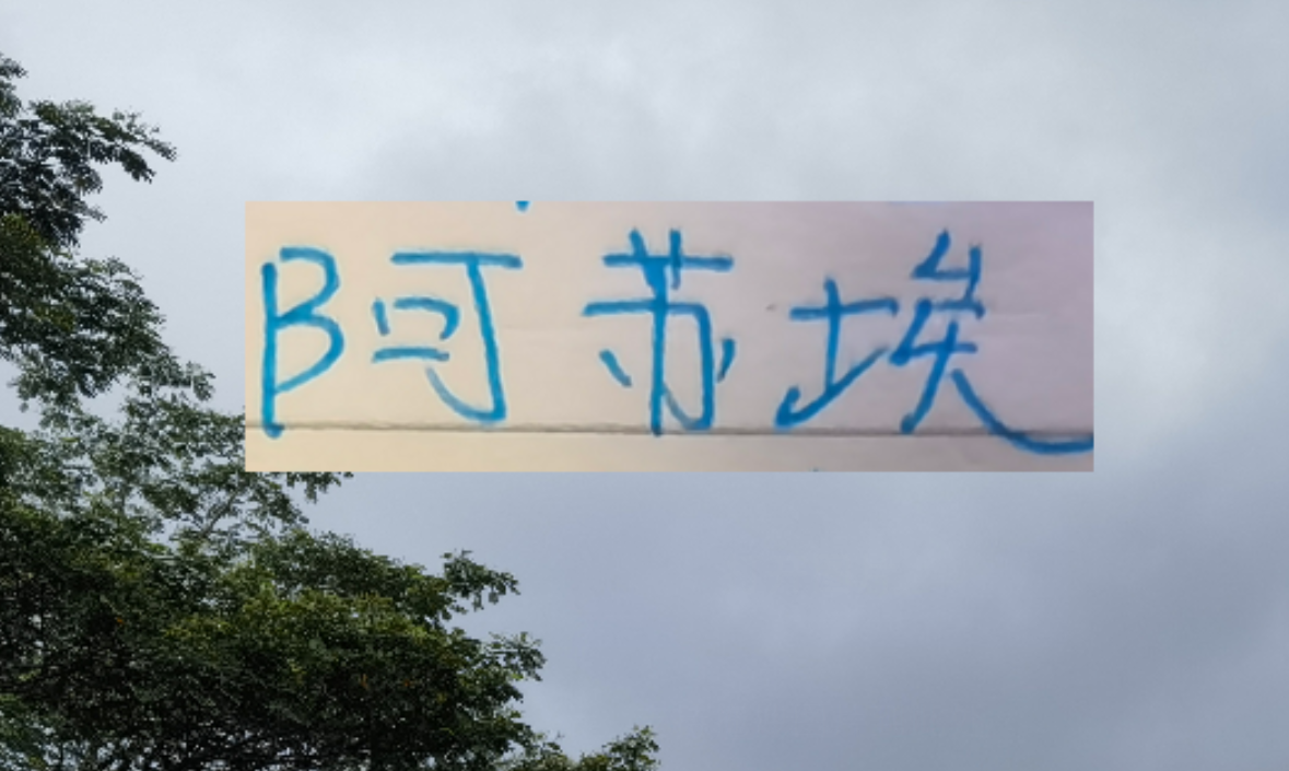 kaiyun体育-海港也走捡漏路线了 22岁多哥外援会比24岁申花前锋高级吗